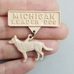 Vintage Michigan Leader Dog for Blind Service Pin Cream Plastic Brooch, Estate